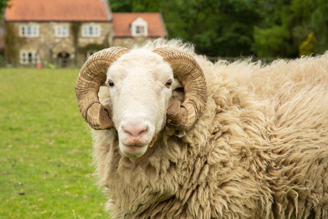 Rawcliffe House Farm Villa Pickering Dış mekan fotoğraf