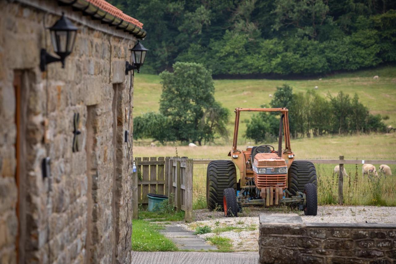 Rawcliffe House Farm Villa Pickering Dış mekan fotoğraf