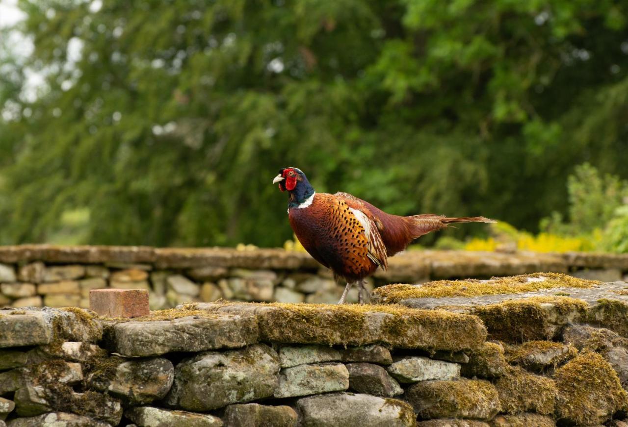 Rawcliffe House Farm Villa Pickering Dış mekan fotoğraf