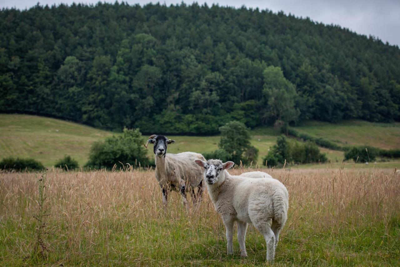 Rawcliffe House Farm Villa Pickering Dış mekan fotoğraf