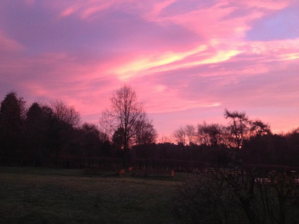 Rawcliffe House Farm Villa Pickering Dış mekan fotoğraf