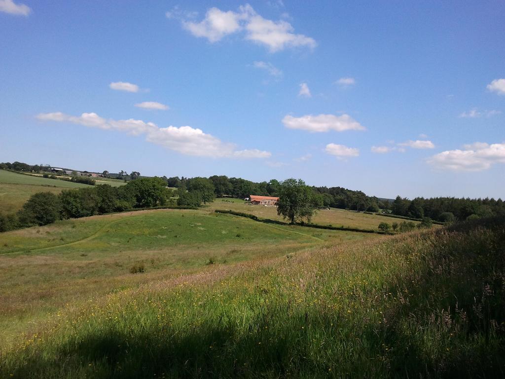Rawcliffe House Farm Villa Pickering Dış mekan fotoğraf