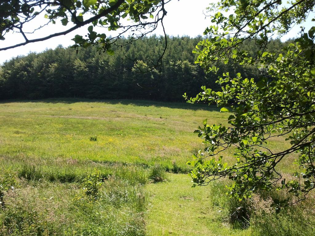 Rawcliffe House Farm Villa Pickering Dış mekan fotoğraf