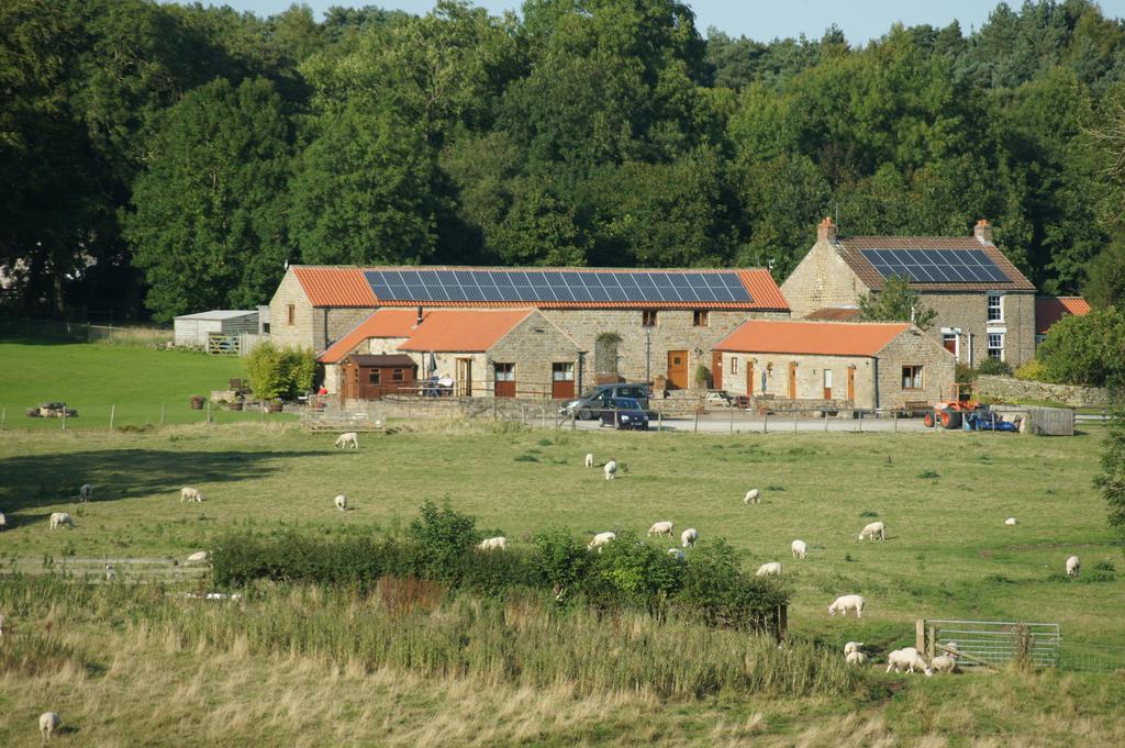 Rawcliffe House Farm Villa Pickering Dış mekan fotoğraf