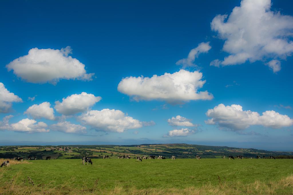 Rawcliffe House Farm Villa Pickering Dış mekan fotoğraf